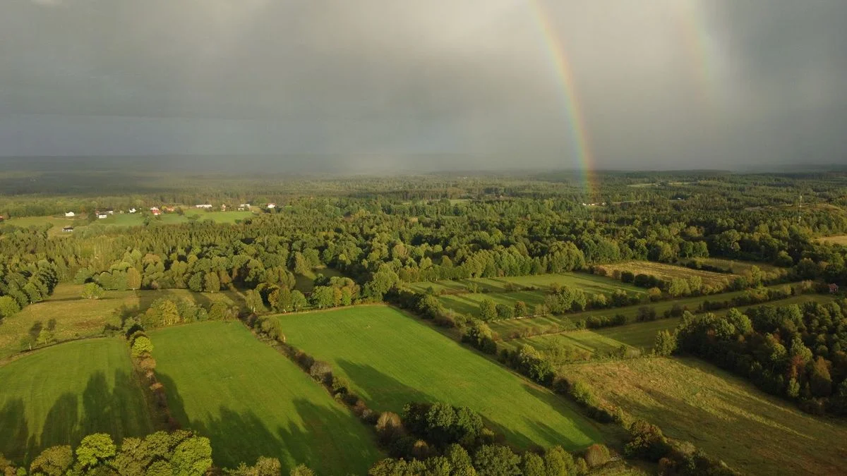 Halland Region Notes Tourism Growth and Clean-Up Success