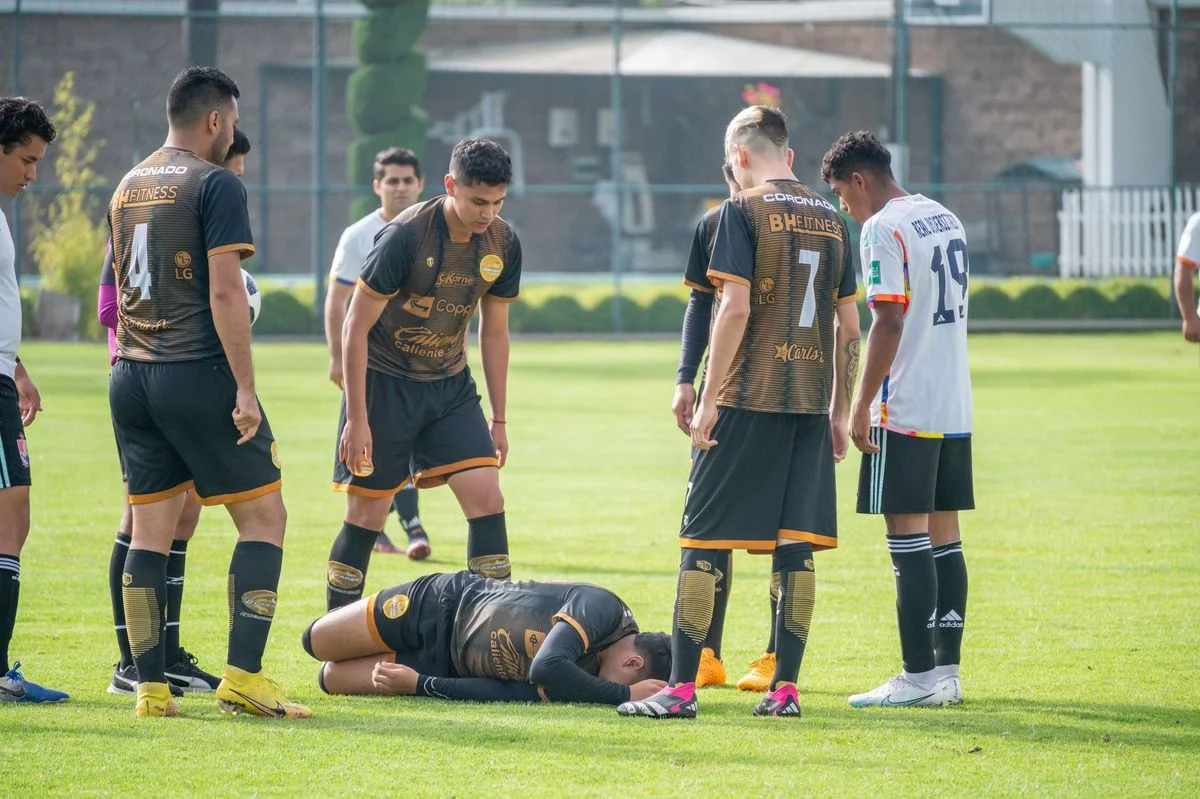 Julian Ryerson Injury: New Concerns for Borussia Dortmund