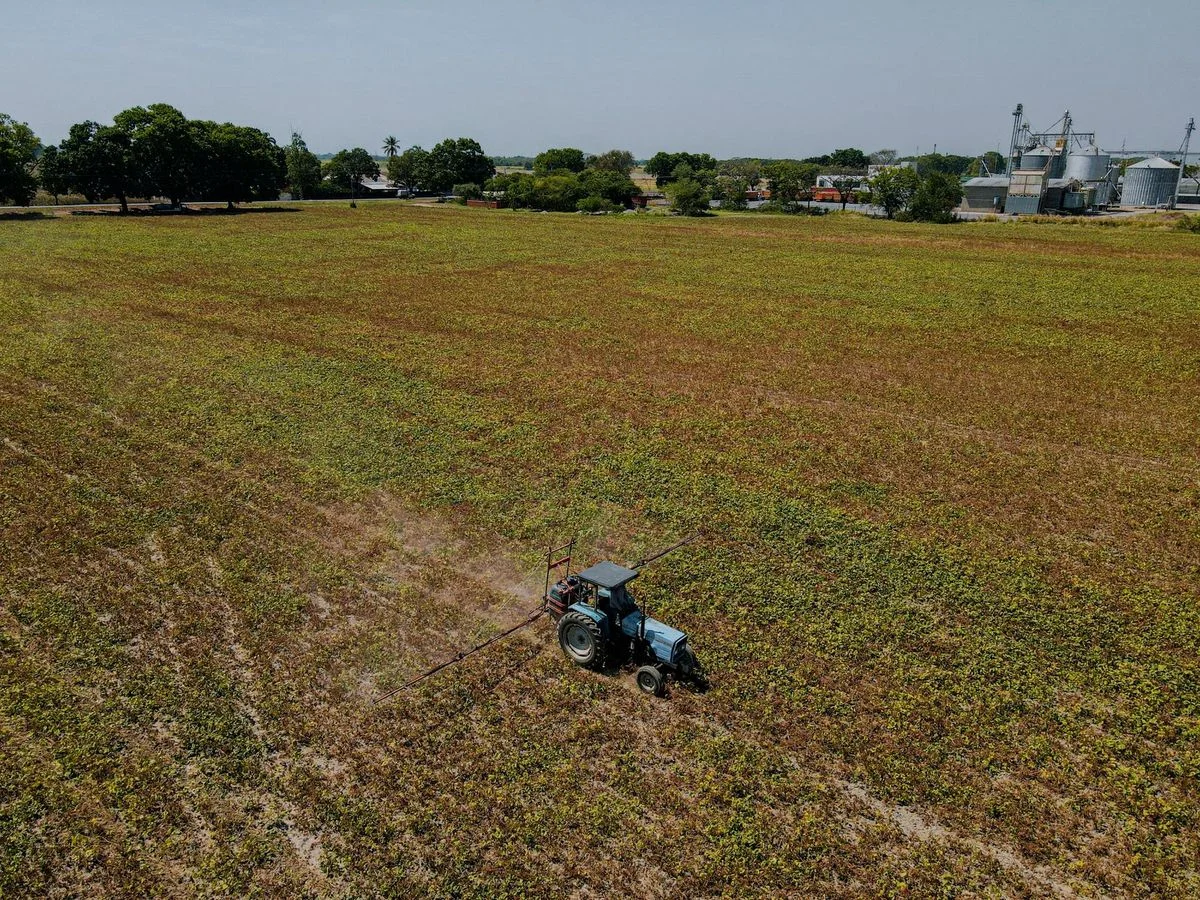 Suriname Bolsters Skills and Champions Amazon Food Security