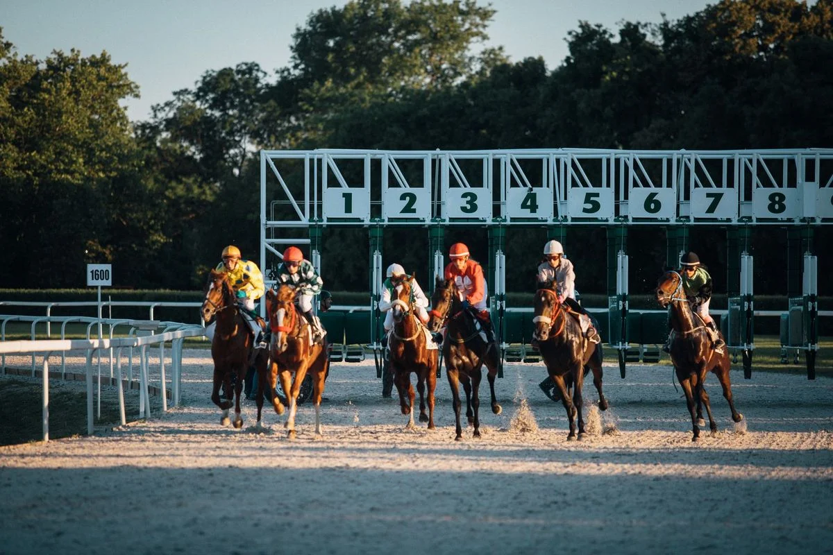 York Races: Saturday Action and Betting Insights