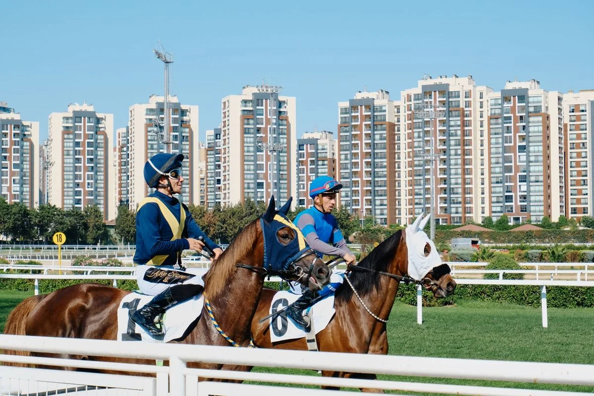 Experts Share Galway Plate Guides for Festival Race