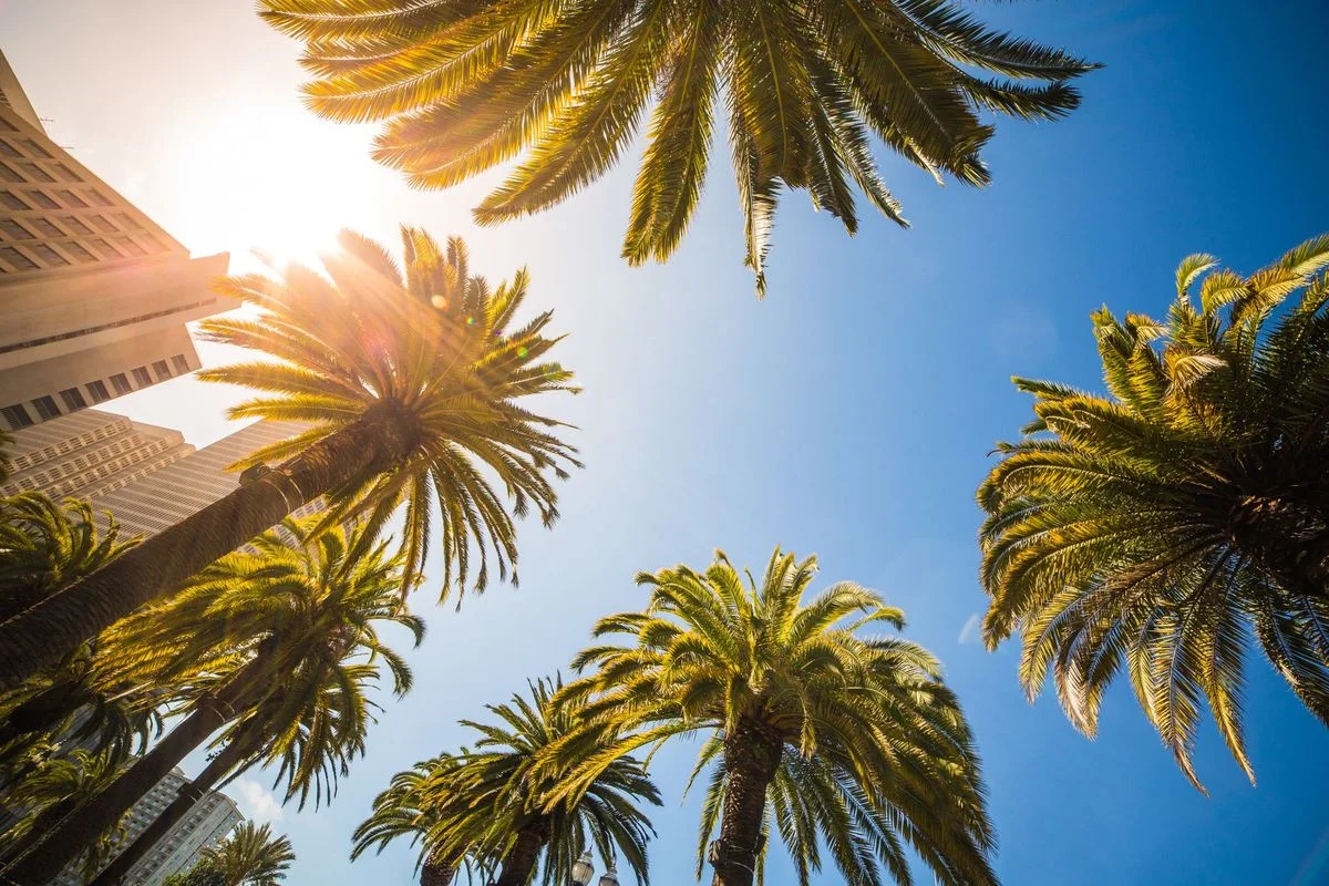 Japan Records First 'Cruelly Hot Day' Over 40C