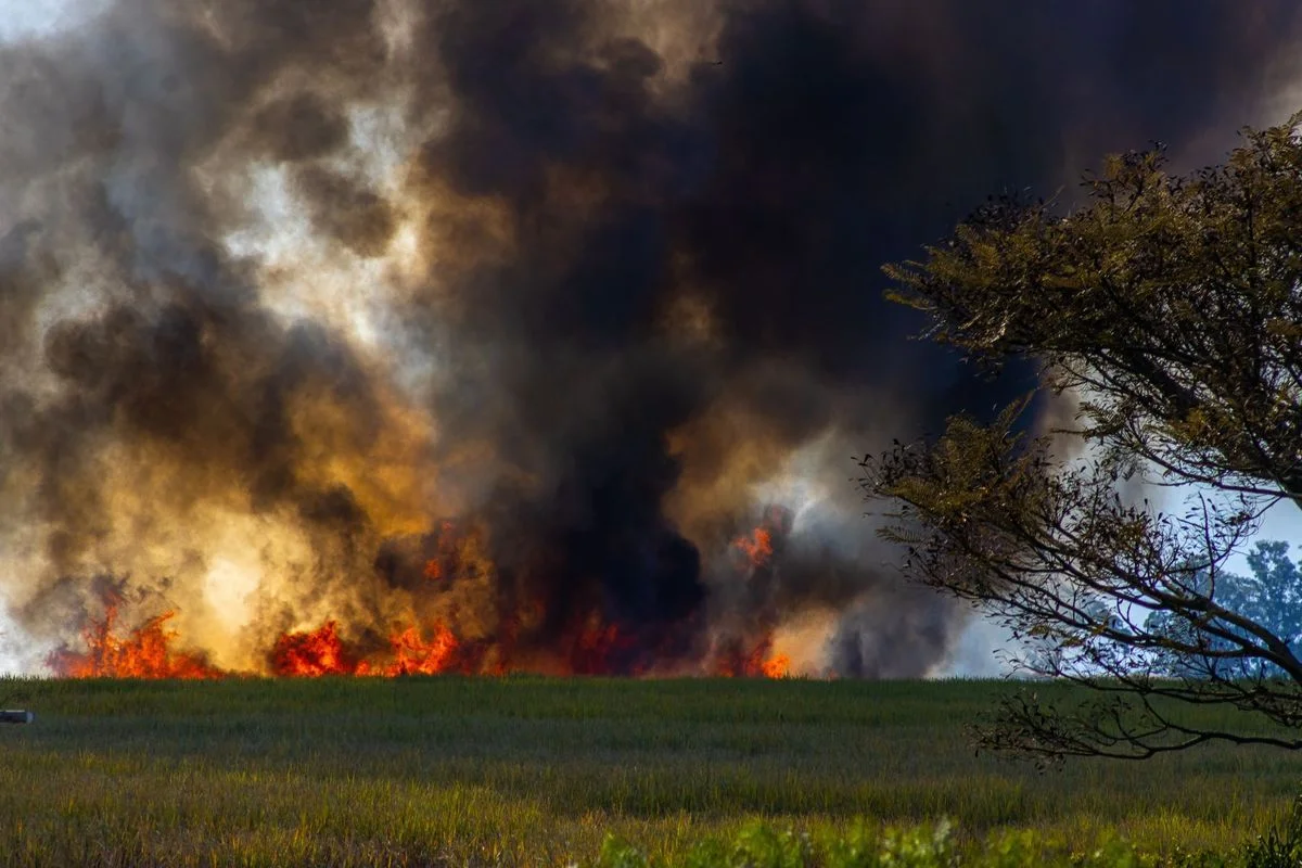 UK Wildfire Risk 'Never Been So High' Amid Heatwave